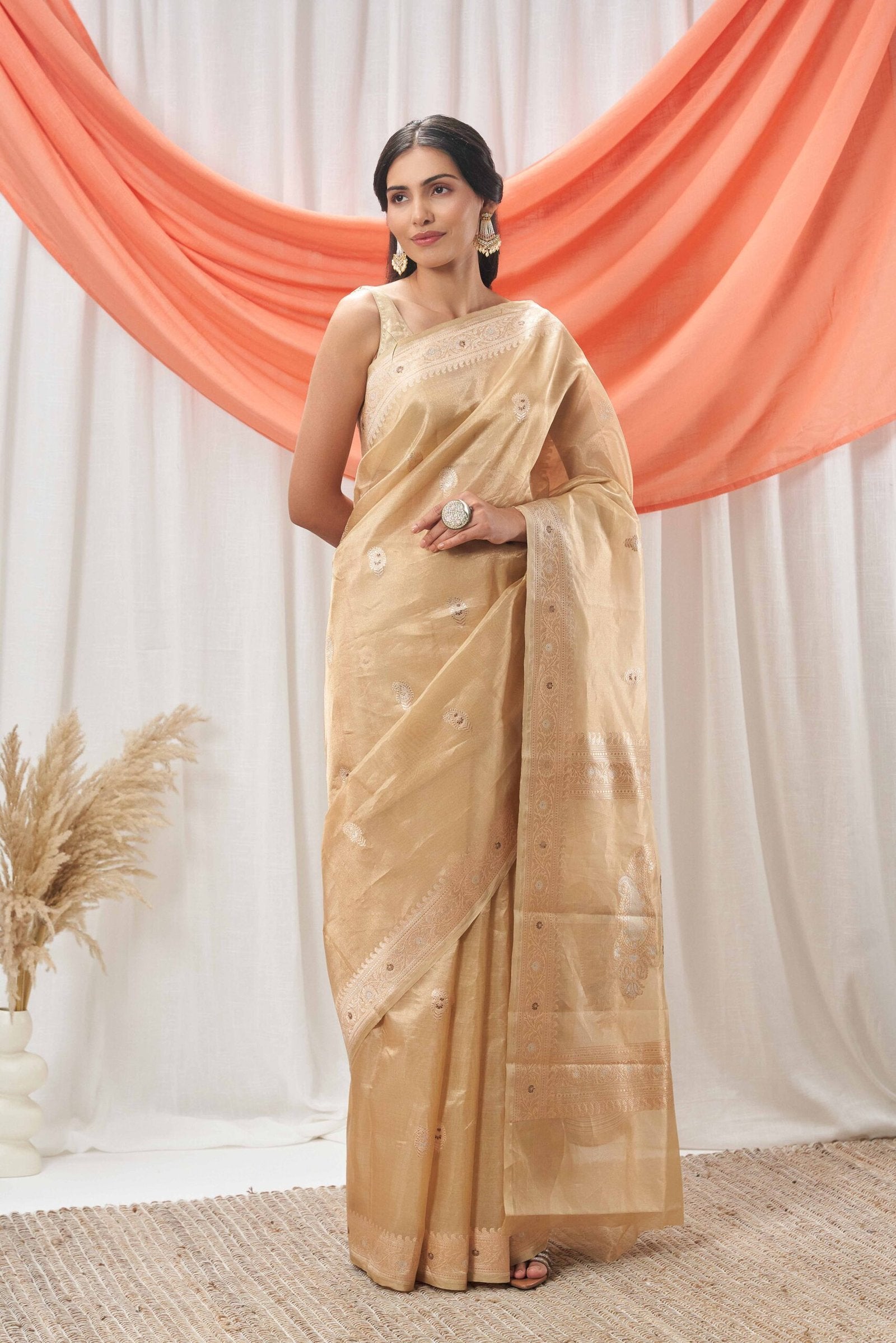 Gold Tissue Vintage Revival Saree