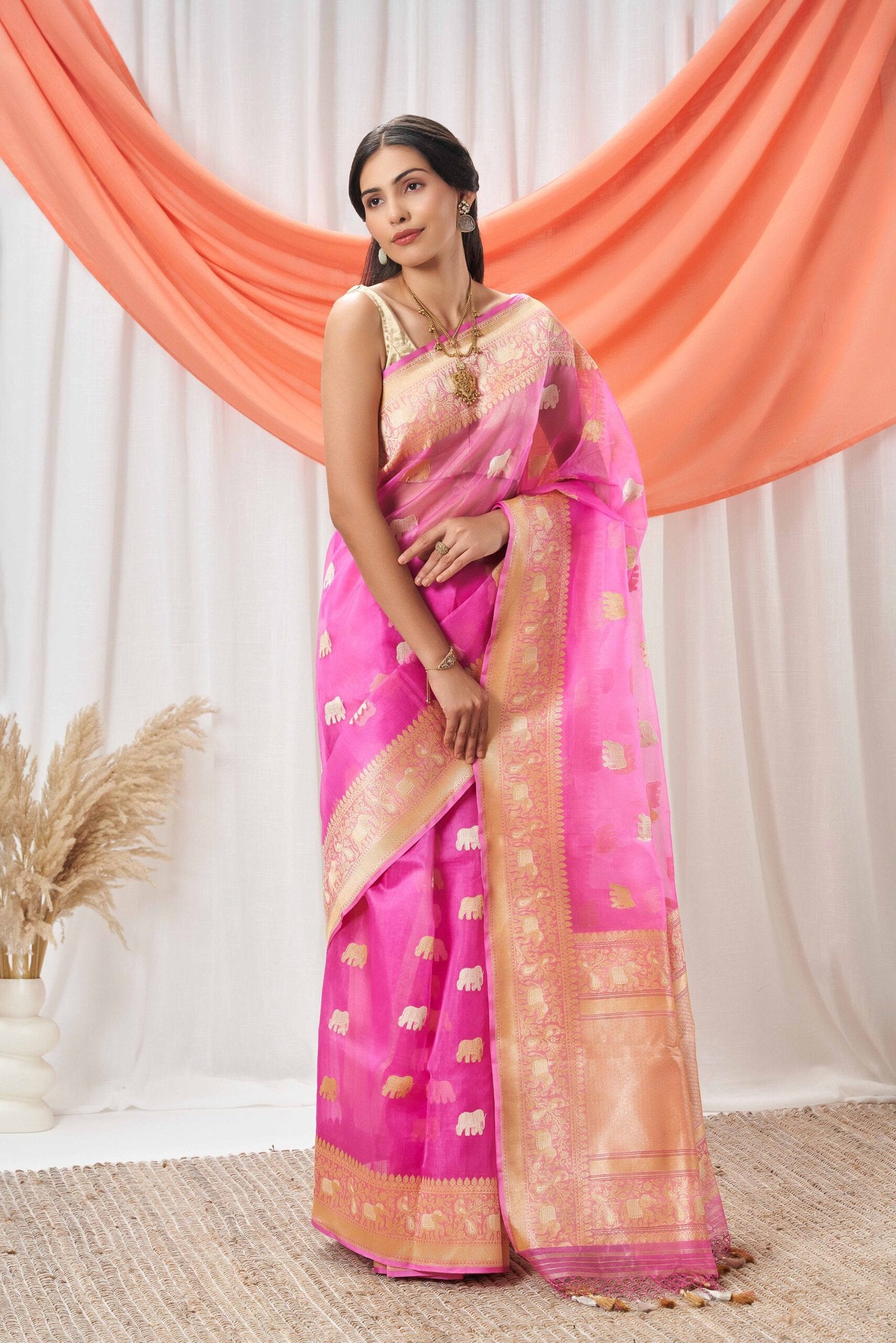 Hot Pink Kora Banarasi Saree with Elephant Motifs
