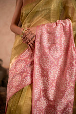Festive Saree