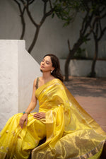 Kanakini (Mango Yellow Ek Nalli Chanderi Saree)