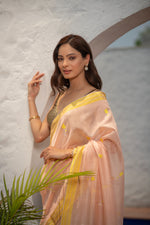 Pikshita (Pastel Chanderi Boota Saree)