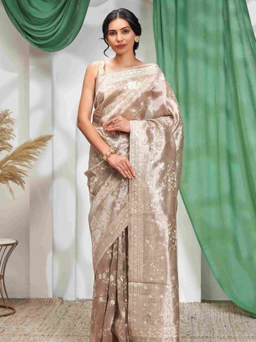 Ritambhara (Silver Tissue All Over Pitta Work Saree)