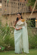Vyomshri (Sky Organza Sequin Elegance Saree)