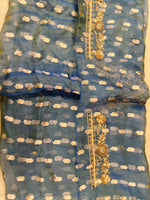 Pushpadhya (Radiant Tissue Dabka Suit)