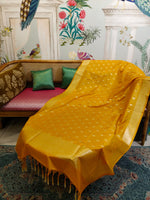 Anvitha (Heritage Katan Silk Dupatta)