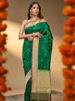 Annapurna (Kadwa Meenakari Katan Silk Saree) - Image 3