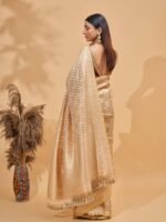 Vedika (Gold Sona Rupa Jaal Tissue Saree) - Image 4