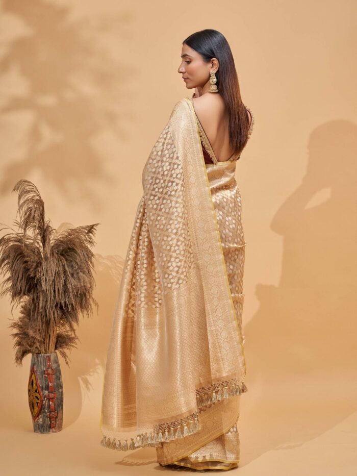 Vedika (Gold Sona Rupa Jaal Tissue Saree) - Image 4