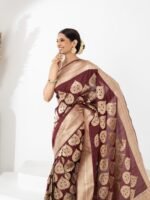 Ekavira (Kadwa Allover Jaal Katan Saree) - Image 3