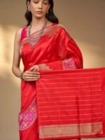 Kaushalya (Kadwa Katan Patola Border Saree) - Image 4