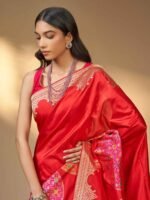 Kaushalya (Kadwa Katan Patola Border Saree) - Image 3