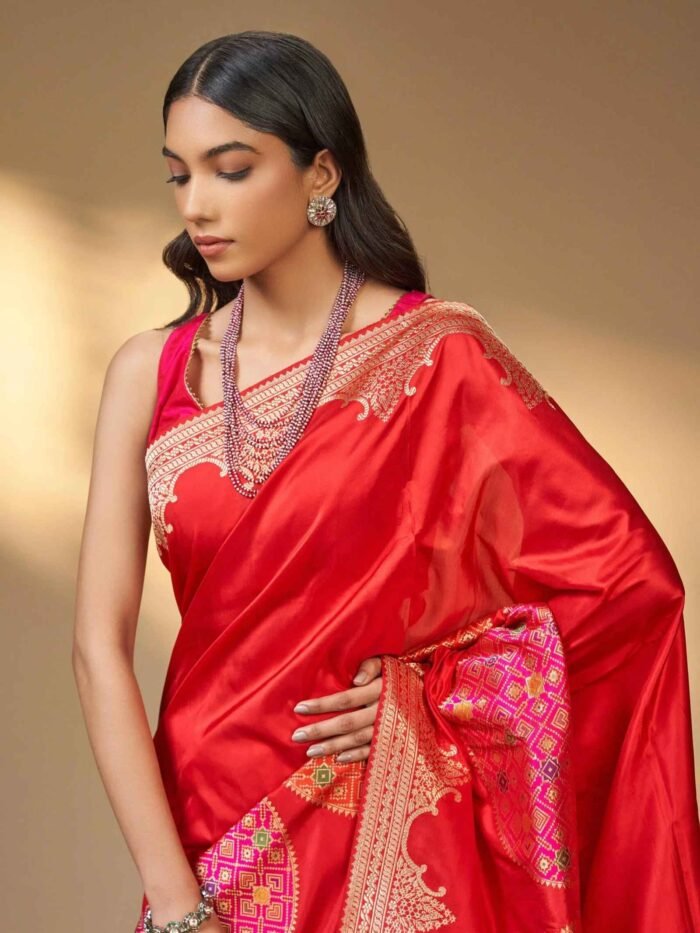 Kaushalya (Kadwa Katan Patola Border Saree) - Image 3