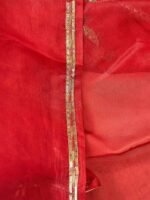 Lavana (Pure Organza Handloom Embroidered Saree) - Image 4