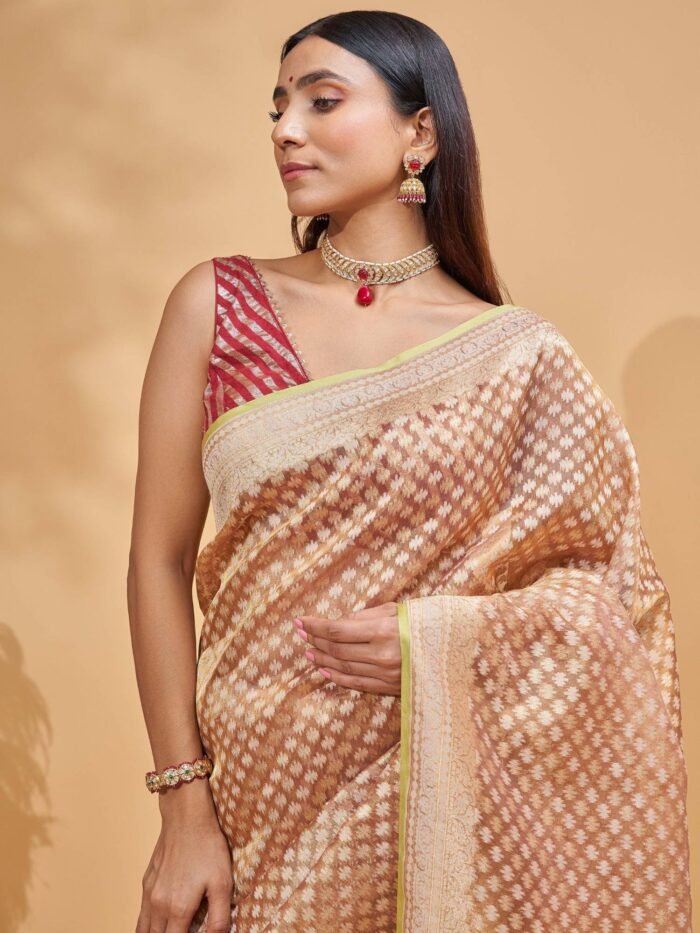 Malvika (Peachish Gold Bootiedar Tissue Saree) - Image 5