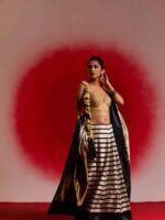 Aaravi (Striped Black and White Mushru Saree) - Image 2