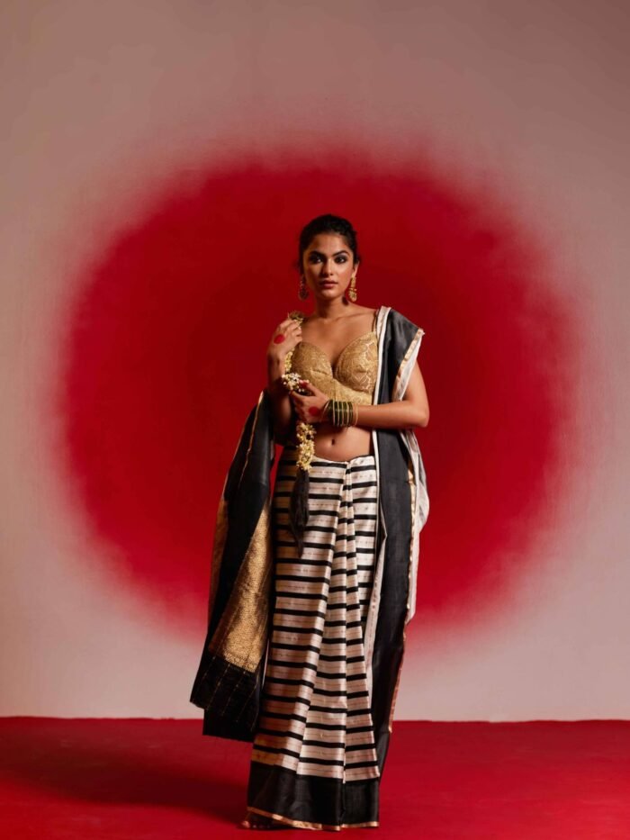 Aaravi (Striped Black and White Mushru Saree) - Image 1