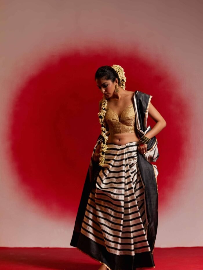 Aaravi (Striped Black and White Mushru Saree) - Image 3