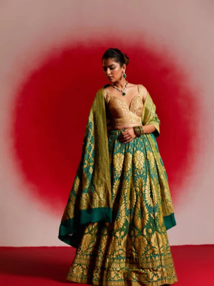 Tanvika (Bandhej Georgette Banarasi Lehenga)