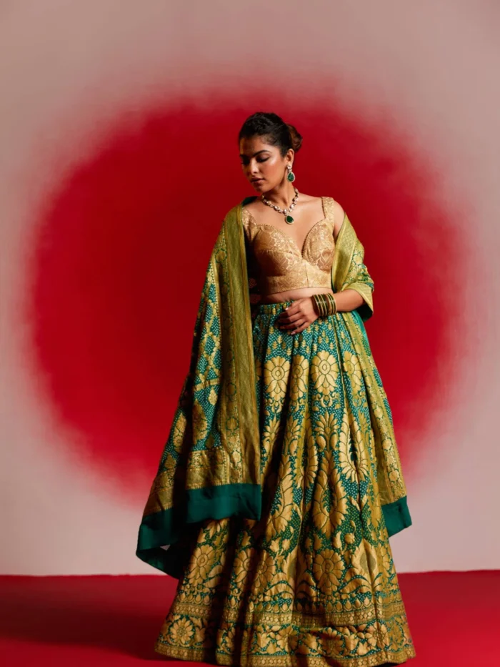 Tanvika (Bandhej Georgette Banarasi Lehenga) - Image 1