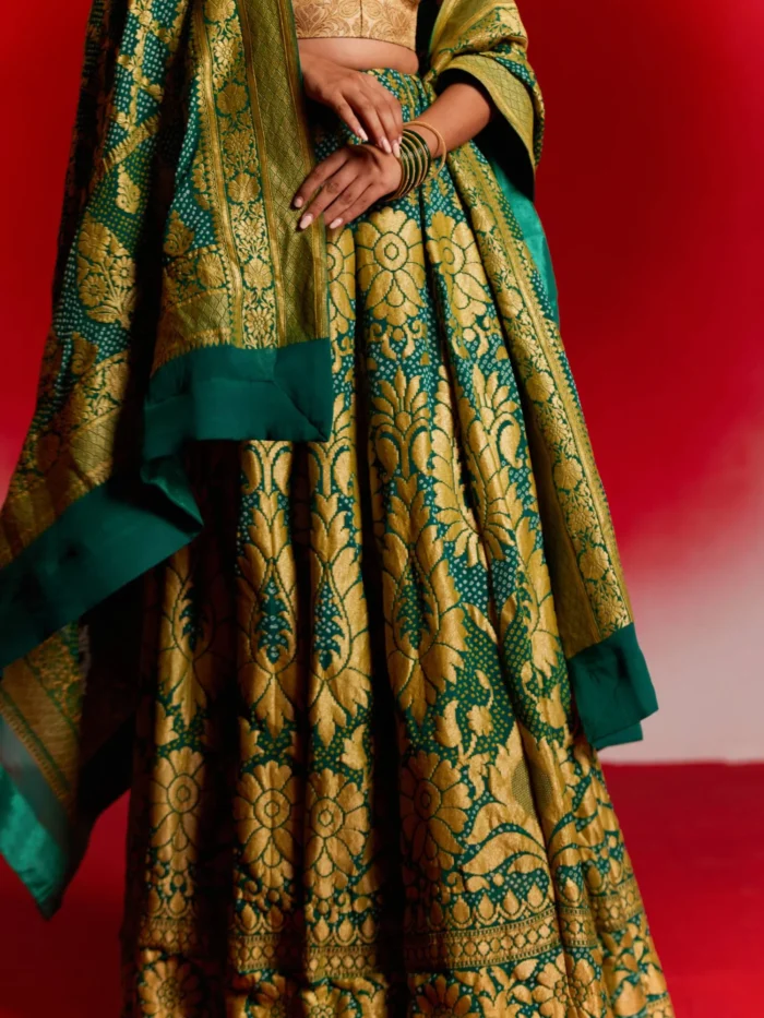 Tanvika (Bandhej Georgette Banarasi Lehenga) - Image 4
