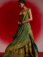 Tanvika (Bandhej Georgette Banarasi Lehenga) - Image 3