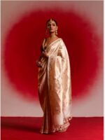 Devanshi (Ujwala White Banarasi Brocade Saree)