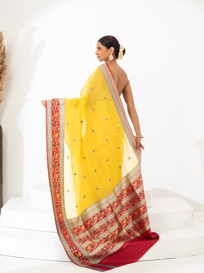 Savitri (Vintage Revival Banarasi Kora Silk Saree) - Image 2