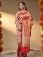 Vaibhavi (Red Brocade Bridal Meenakari Border Saree)