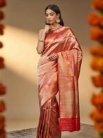 Vaibhavi (Red Brocade Bridal Meenakari Border Saree) - Image 3
