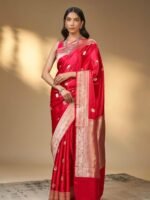 Bhagirathi (Chilli Red Kadwa Mushru Saree)